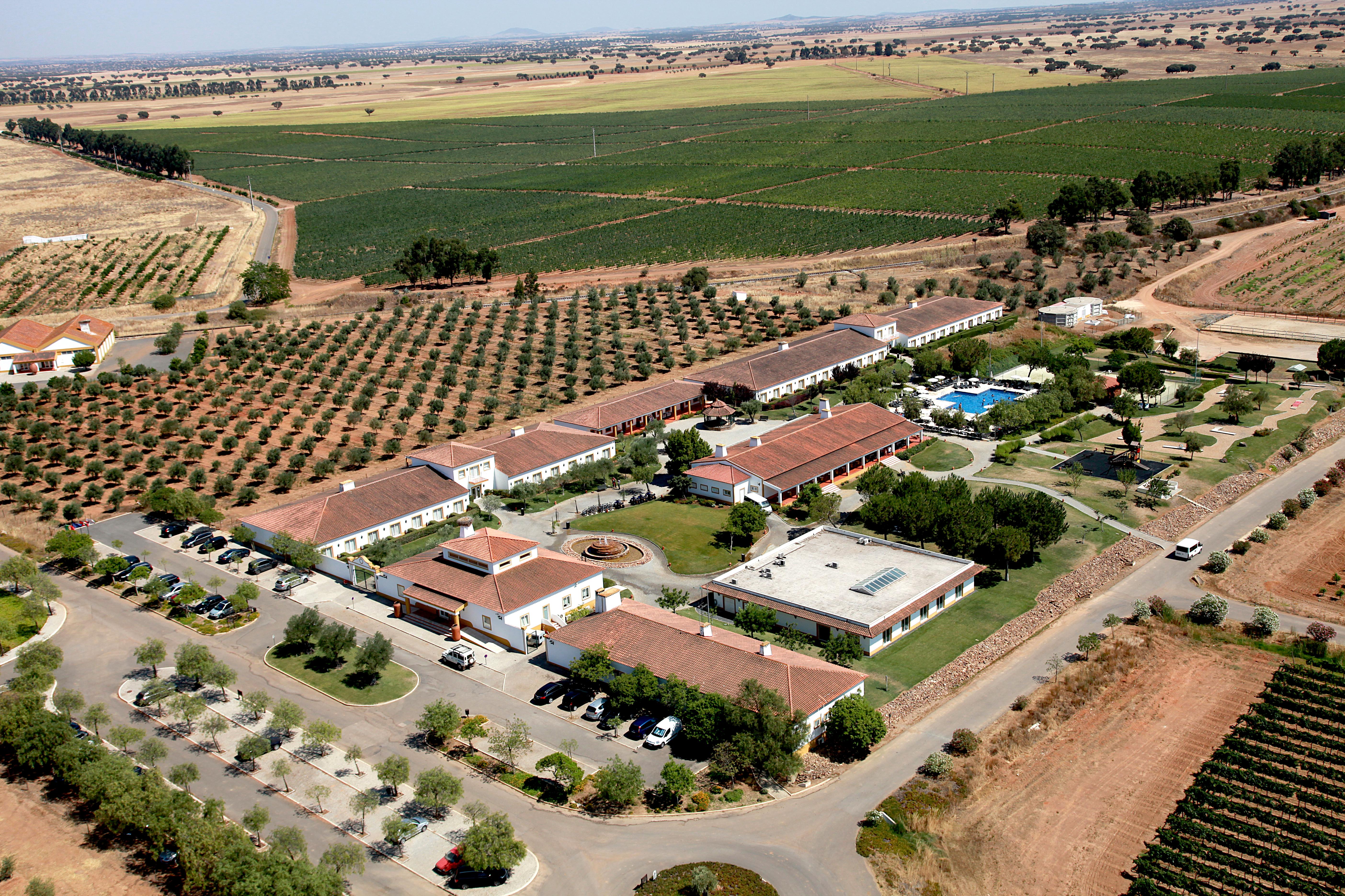 Vila Gale Alentejo Vineyard - Clube De Campo Albernoa Ngoại thất bức ảnh