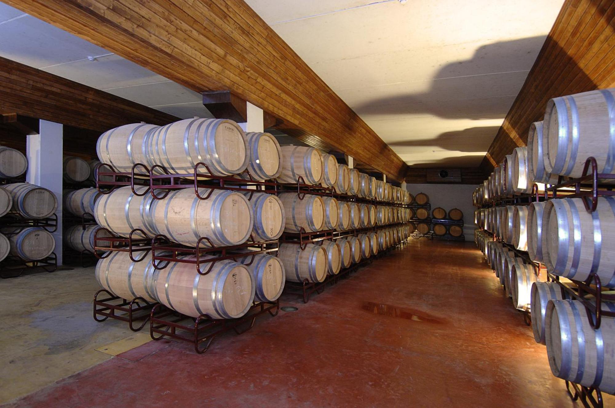 Vila Gale Alentejo Vineyard - Clube De Campo Albernoa Ngoại thất bức ảnh