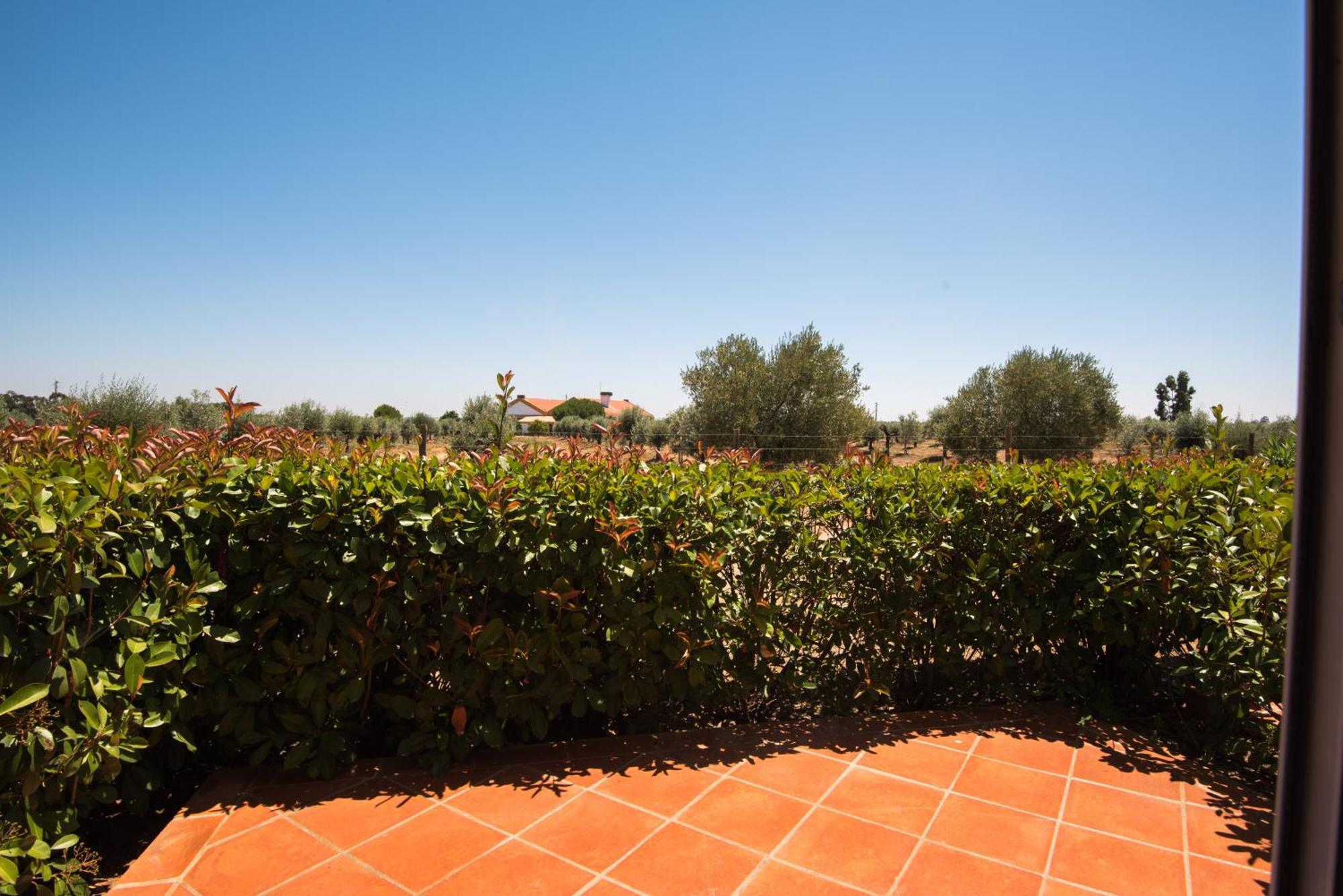 Vila Gale Alentejo Vineyard - Clube De Campo Albernoa Ngoại thất bức ảnh