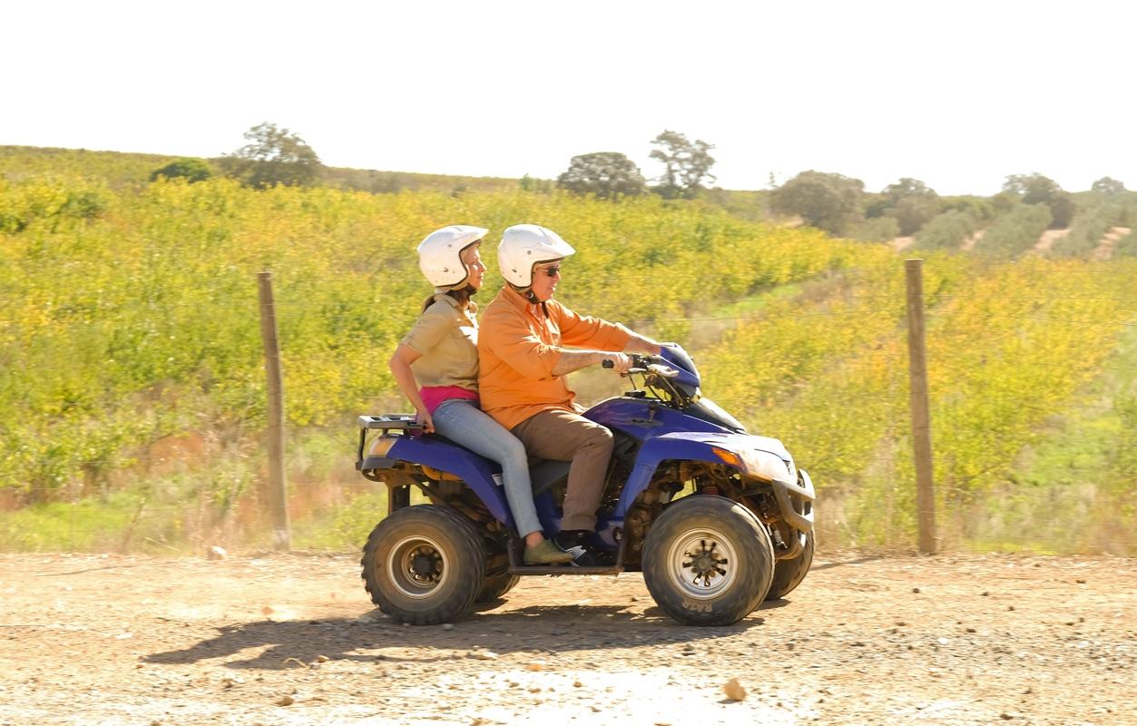 Vila Gale Alentejo Vineyard - Clube De Campo Albernoa Ngoại thất bức ảnh