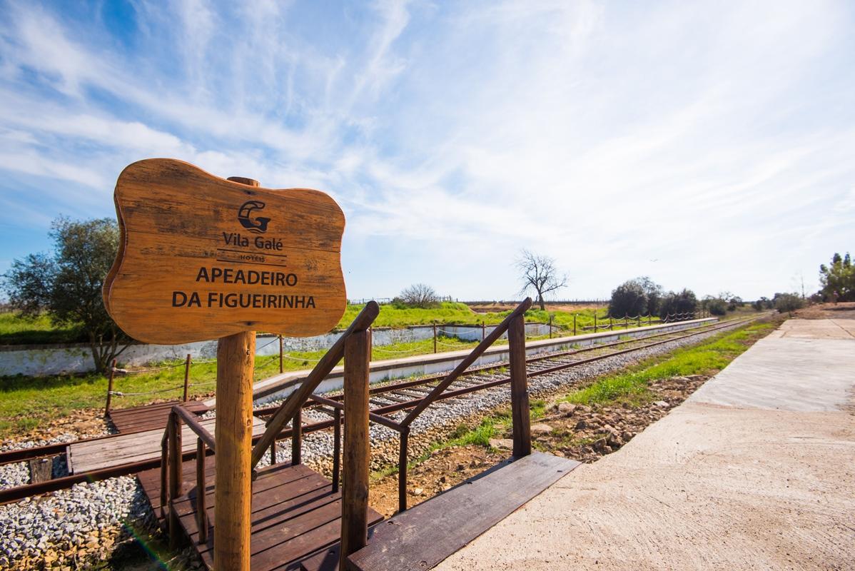 Vila Gale Alentejo Vineyard - Clube De Campo Albernoa Ngoại thất bức ảnh