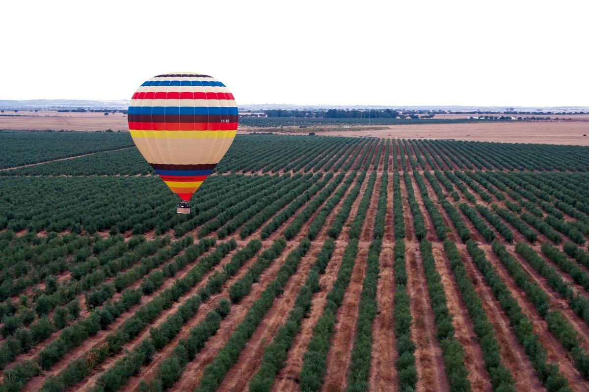 Vila Gale Alentejo Vineyard - Clube De Campo Albernoa Ngoại thất bức ảnh