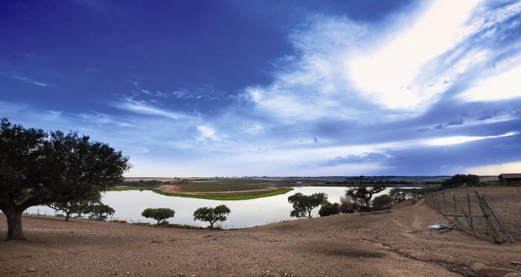 Vila Gale Alentejo Vineyard - Clube De Campo Albernoa Ngoại thất bức ảnh