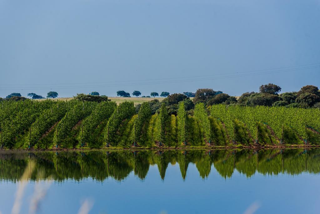 Vila Gale Alentejo Vineyard - Clube De Campo Albernoa Ngoại thất bức ảnh