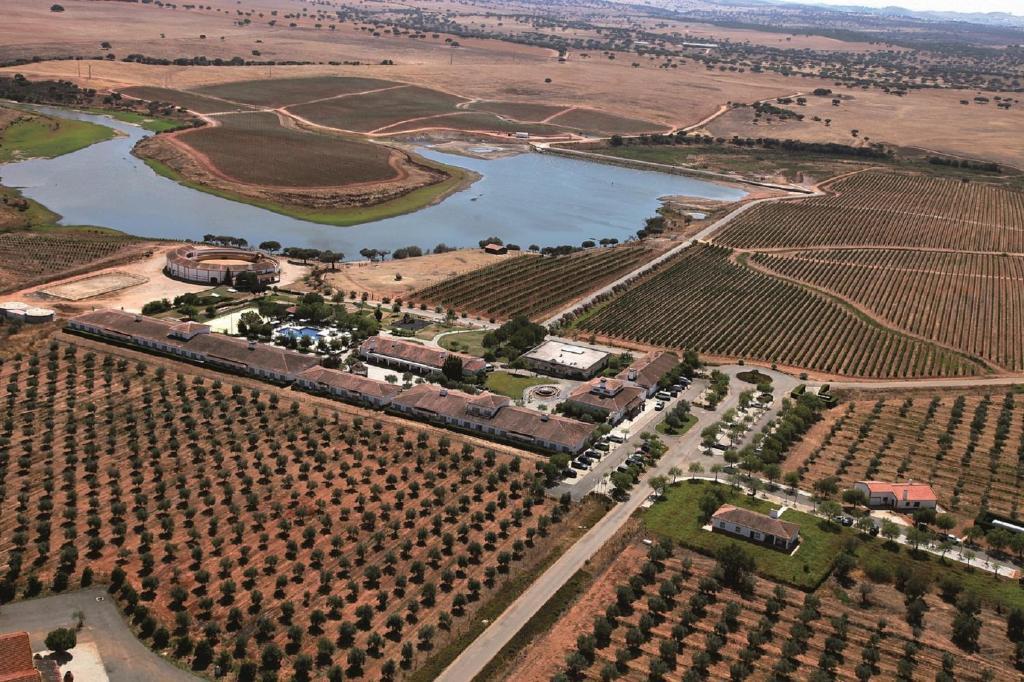 Vila Gale Alentejo Vineyard - Clube De Campo Albernoa Ngoại thất bức ảnh